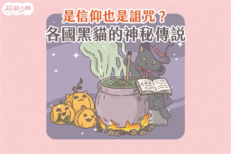 黑貓 象徵|【黑貓 寓意】揭秘黑貓的寓意：詛咒與吉運的傳奇 – 虞默莧師傅